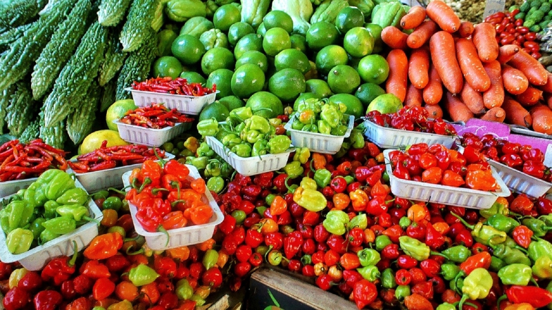 primeur-SALLAGRIFFON-min_farmers-market-1329008